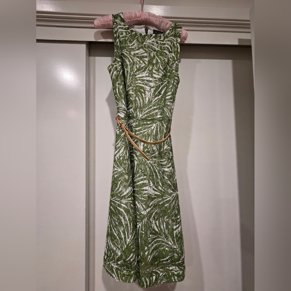 The Limited Green and White Patterned Dress XS